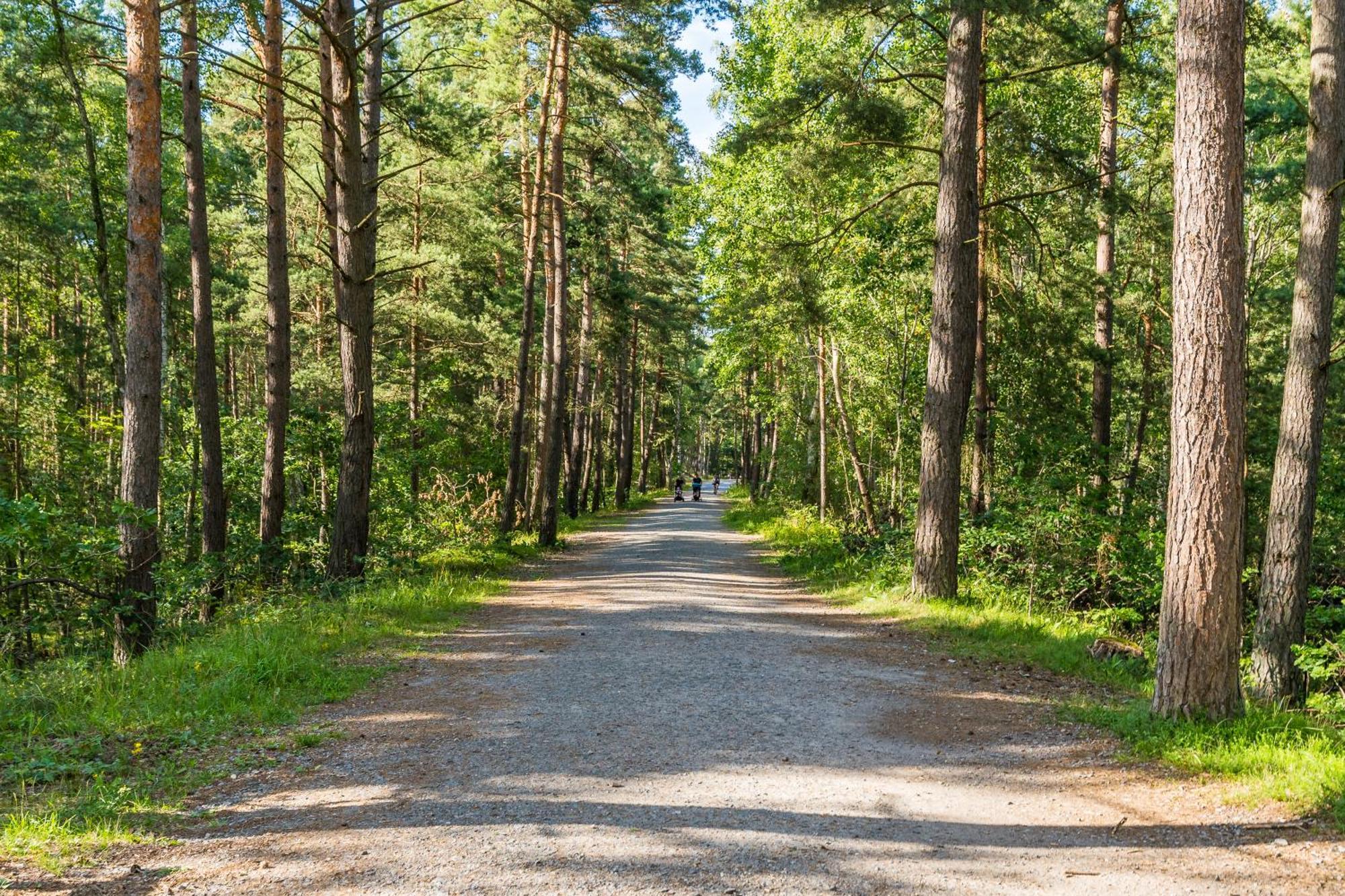 Bursztynowo Mikoszewo Villa Eksteriør billede
